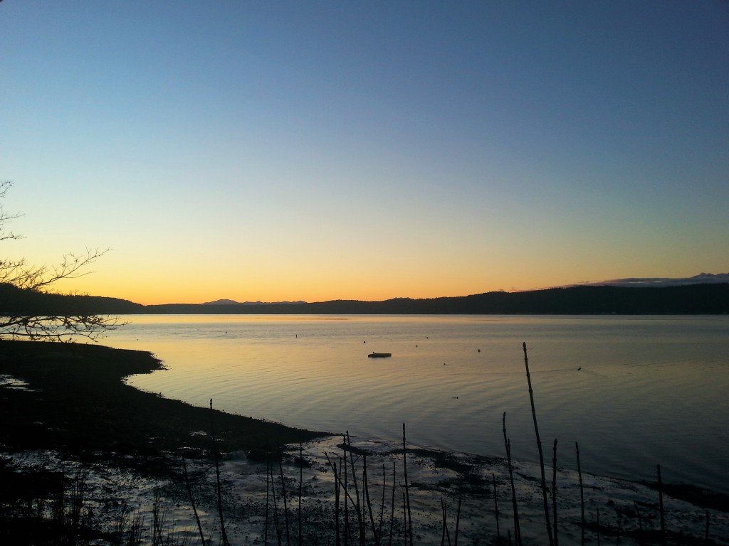 Hood_Canal_South_Shore_1.jpg