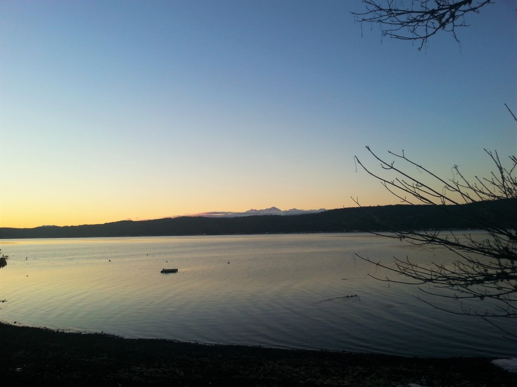 Hood_Canal_South_Shore_2.jpg