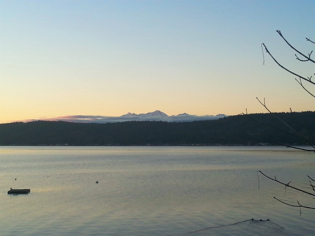 Hood_Canal_South_Shore_3.jpg