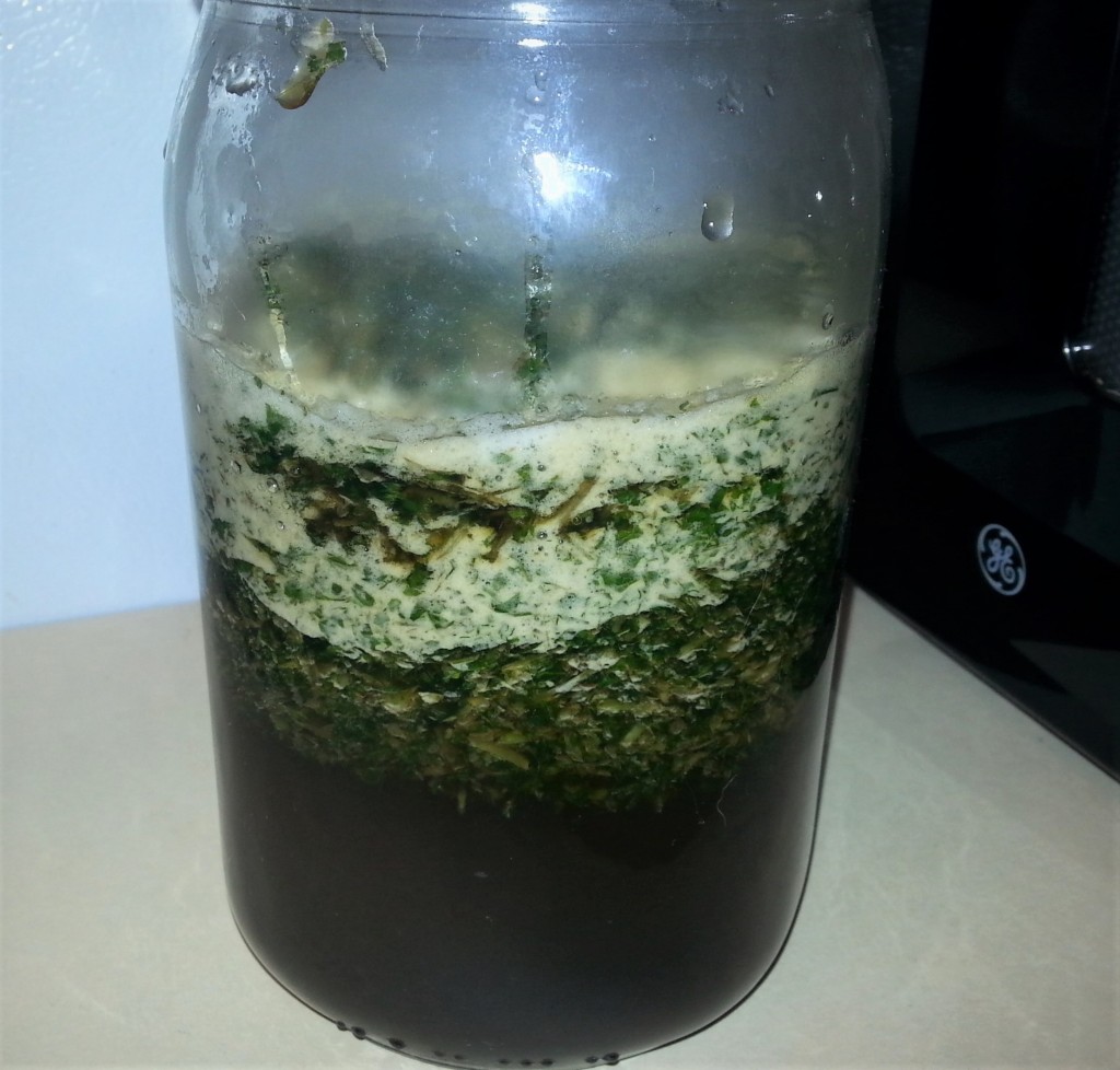 Lemon_Balm_Pest_Ferment.jpg