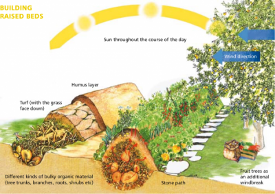 cross_section_img_assist_custom-400x283_0.png