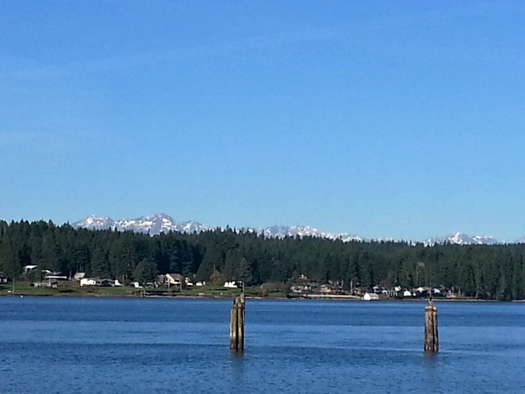 olympic_mountains_across_pickering_passage.jpg