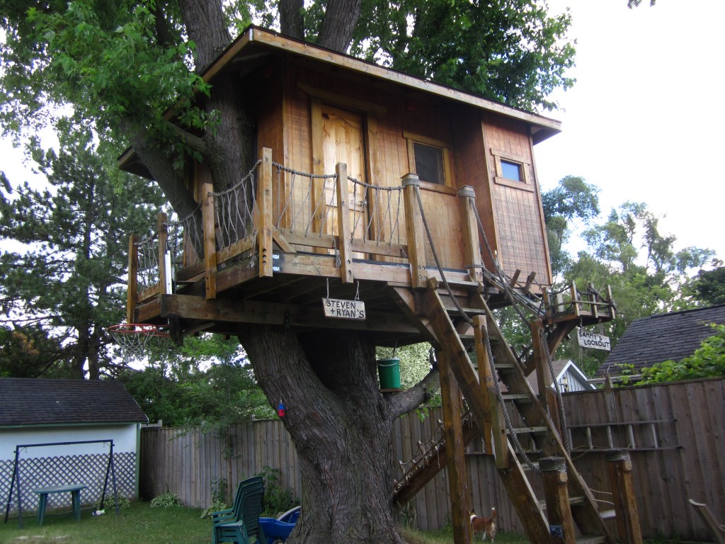 treehouse_003.jpg