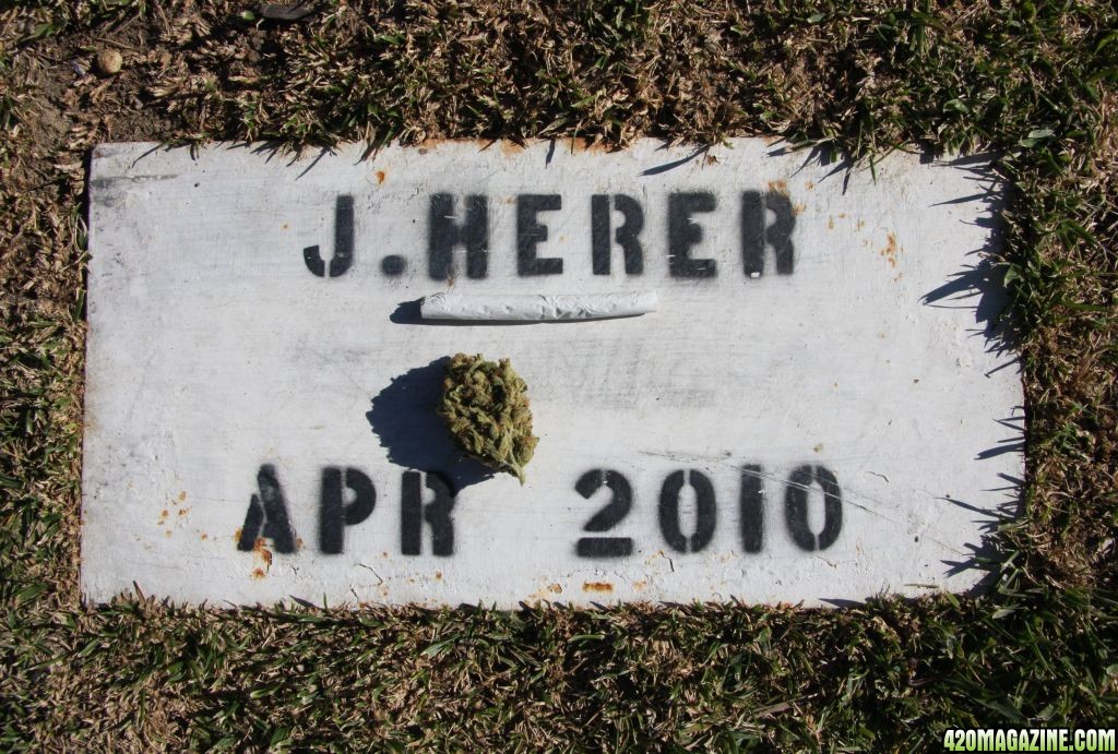 Jack-Herer-Gravesite-Plaque-4-15-2011.JPG