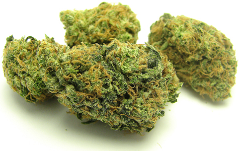 Cannabis10.jpg