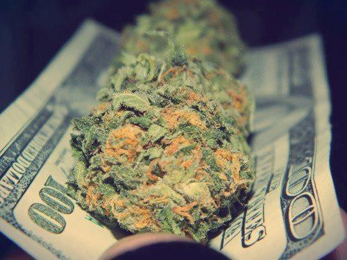 Cannabis_And_Cash1.jpg