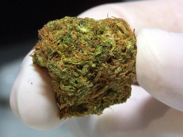Cannabis_Bud2.jpg