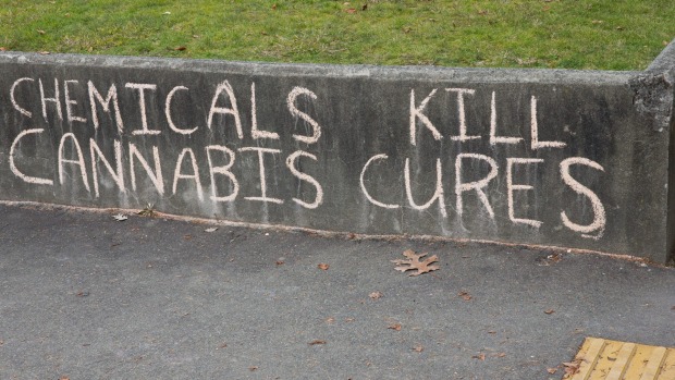 Chemicals_Kill_CAnnabis_Cures.jpg