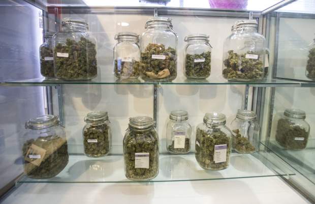 Dispensary_Display1.jpg