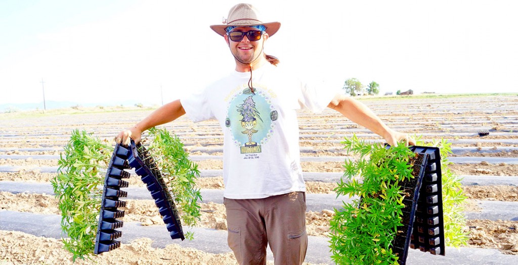 Hemp_Planting_Day_-_Blue_Forest_Farms.jpg