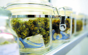 Marijuana_In_Jars.jpg