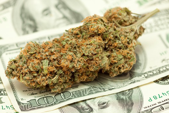 Marijuana_Money1.jpg