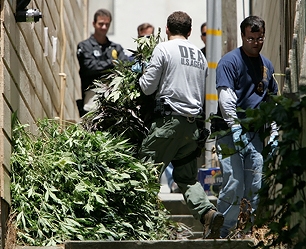 Medical-Marijuana-Crackdown.jpg