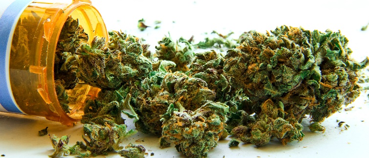 Medical-Marijuana-Regina.jpg