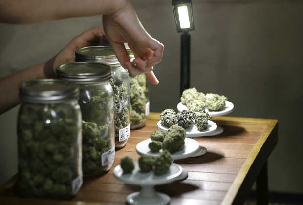 Medical_Cannabis_in_Jars2.jpeg