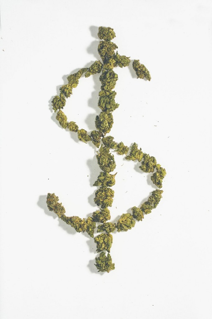 Pot_dollar_sign.jpg