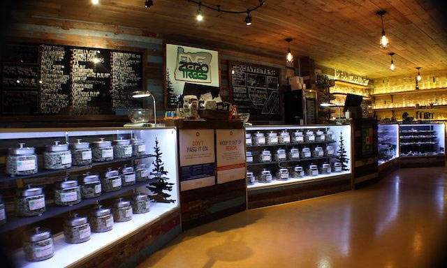 cannabis-store.jpg