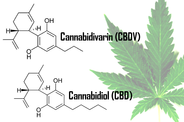 cannabis_compound.jpg