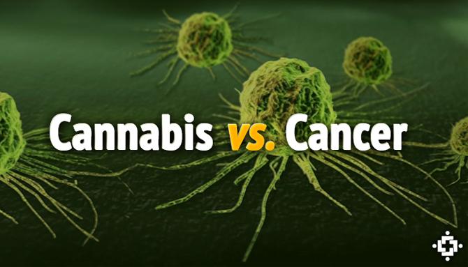 cannabisvscancer_01.jpg