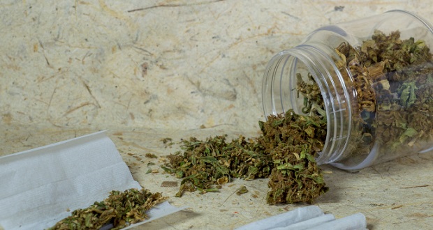 marijuana-joint-pot-weed-620.jpg