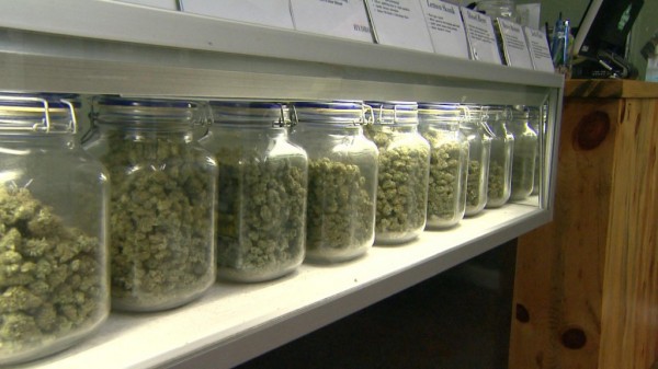 medical-marijuana-dispensary-selection.jpg