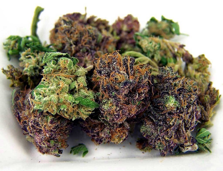 purple-green-cannabis-bud1.jpg