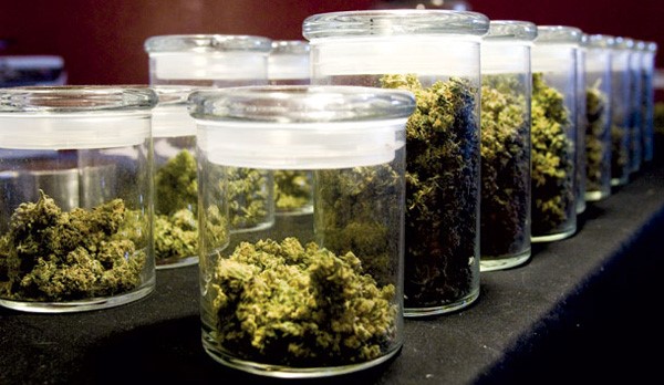 weed-in-jars1.jpg