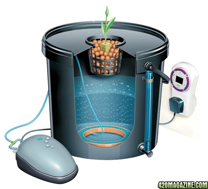 bubbler-dwc-system.jpg