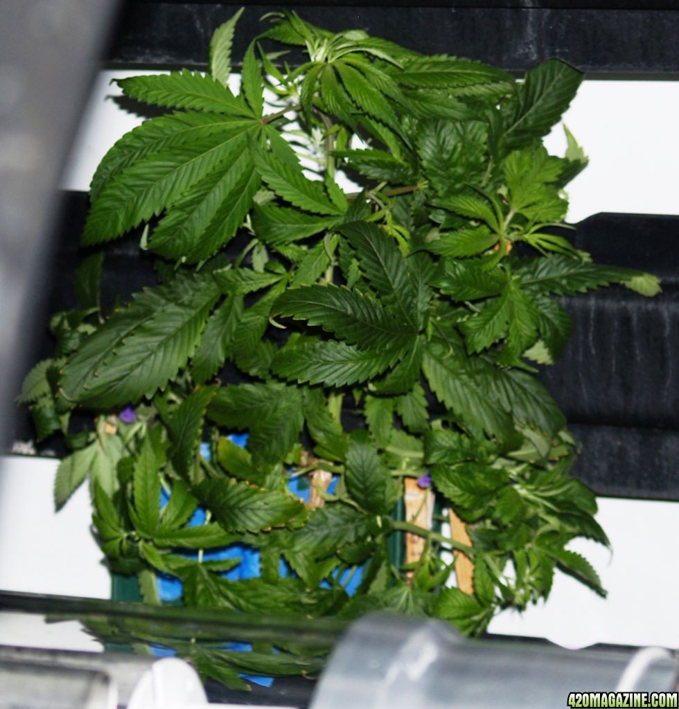 10-18-LST_2-2.JPG