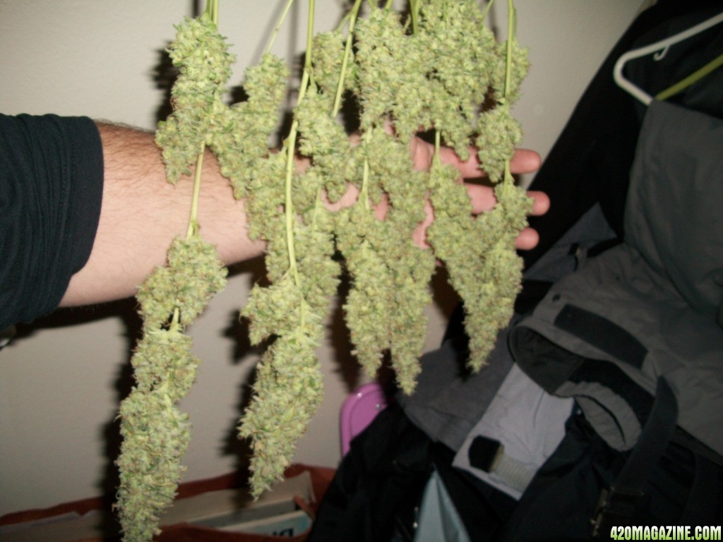 1_WR_harvest_009.jpg