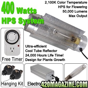 400_watt_HPS.jpg