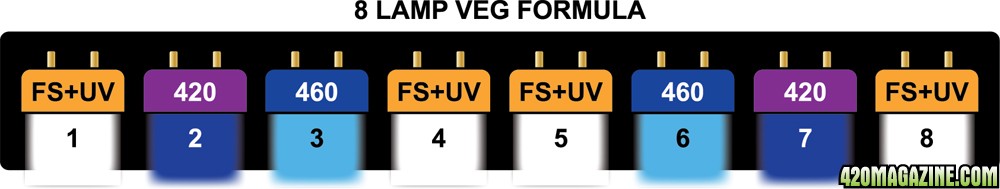 8-lamp-veg-formula.jpg