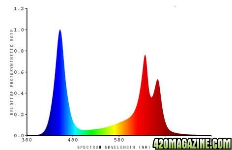 Bloom_Spectrum_for_Epistar320.jpg