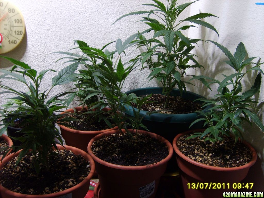 Blue_Planet_Sponsored_Grow_006.jpg