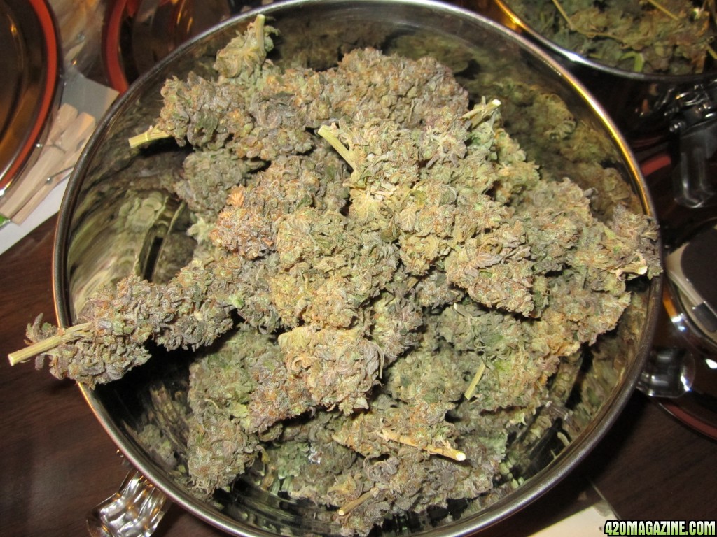 Bucket_of_buds_707.JPG