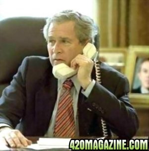 Bush_Answers_the_Phone_-_Upside-Down_.jpg