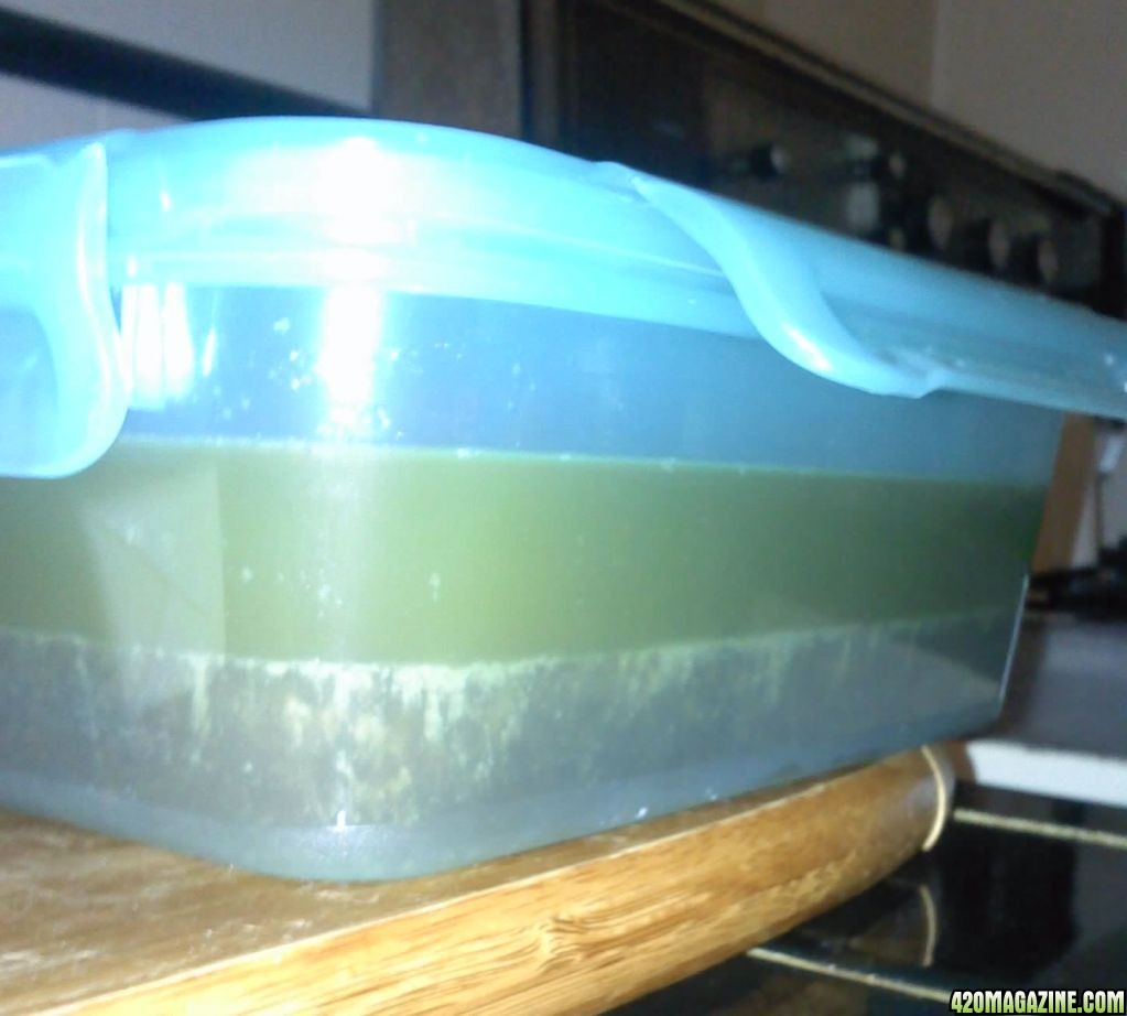 CANNABUTTER_12_17_2011firstbatch.jpg