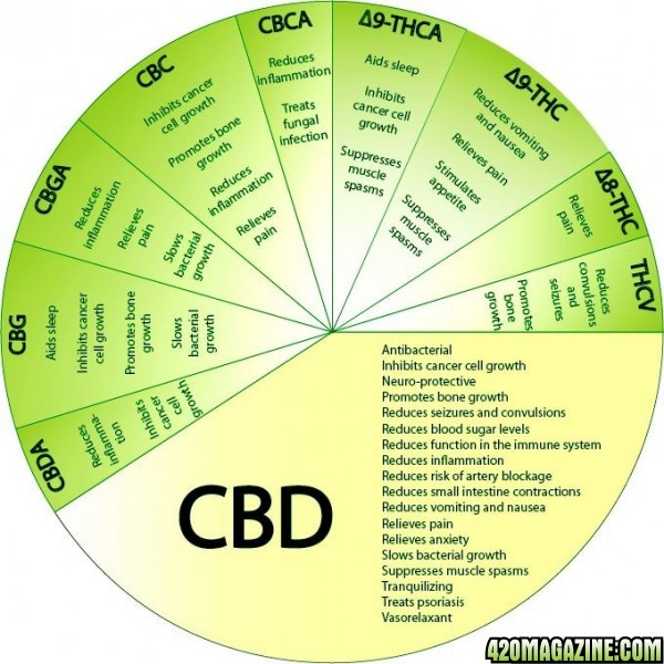 CBD131.jpg