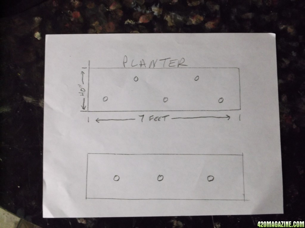 Cage_and_Planter_012.jpg