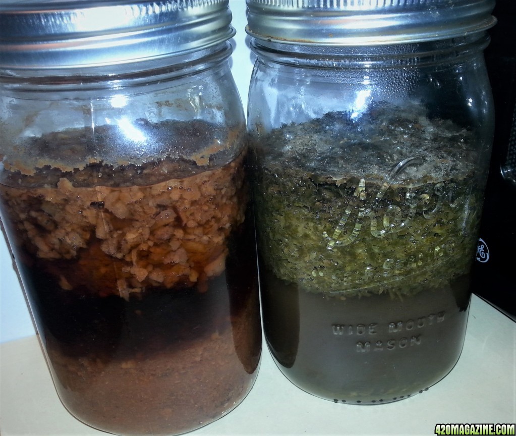 Cherry_Date_and_Lemon_Balm_Ferments.jpg