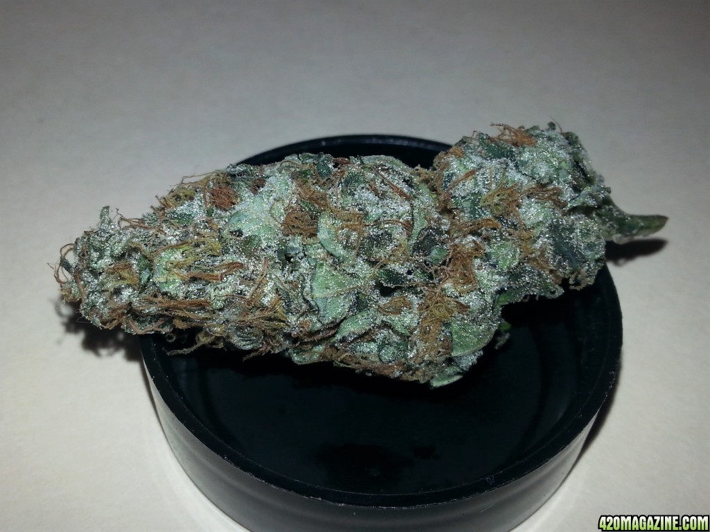 Dark_Angel_x_Permafrost4.jpg