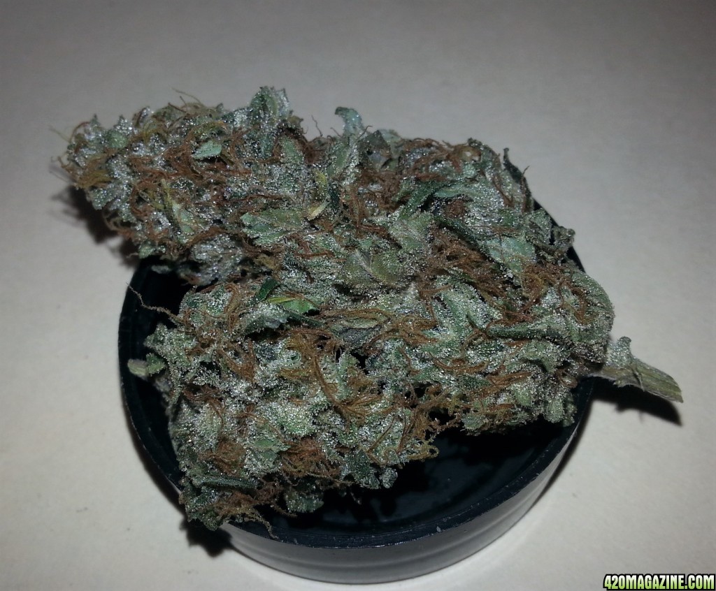 Dark_Angel_x_Permafrost7.jpg