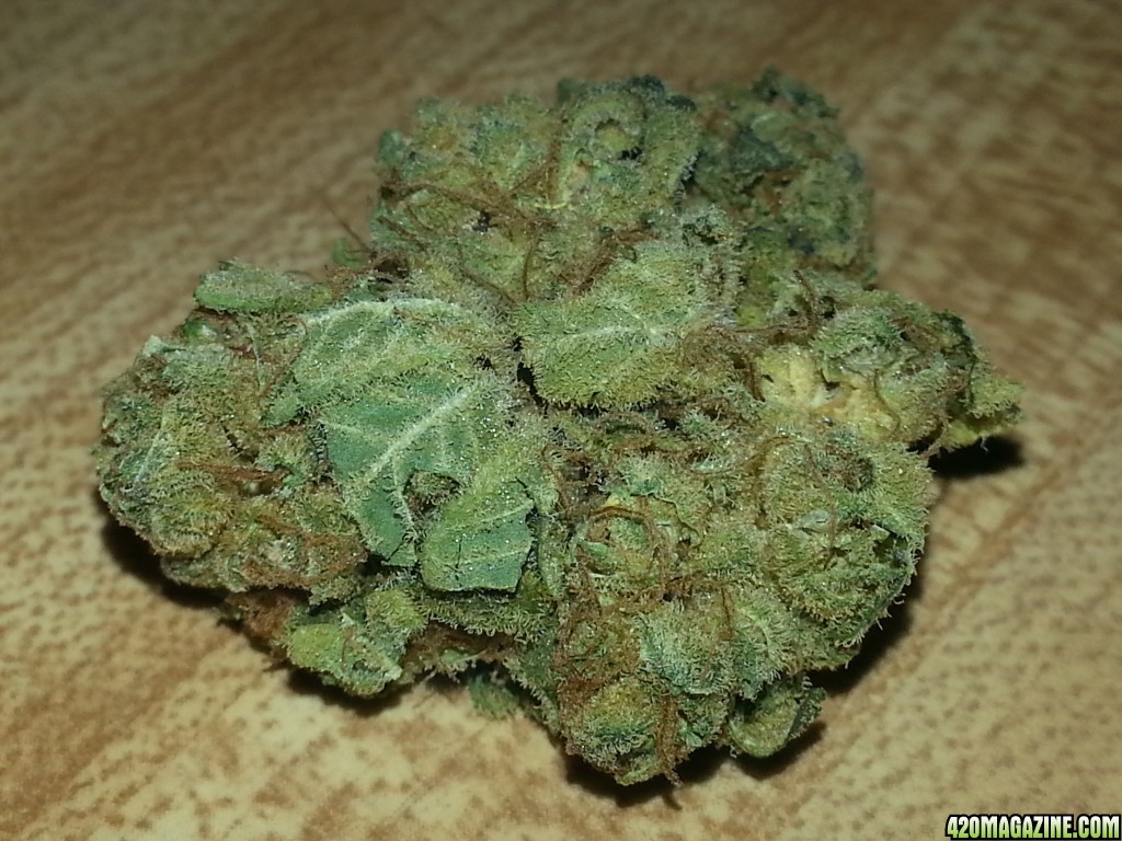 Galadriel_x_Trainwreck_x_Hawaiian.jpg