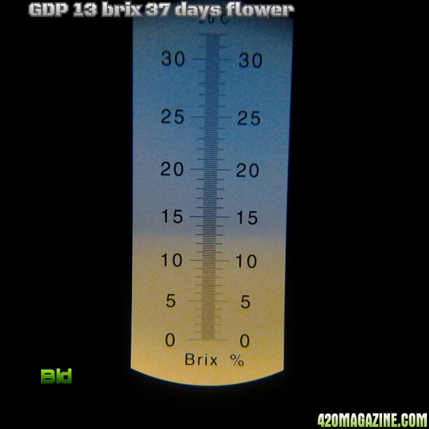 Gdp13brix2.jpg