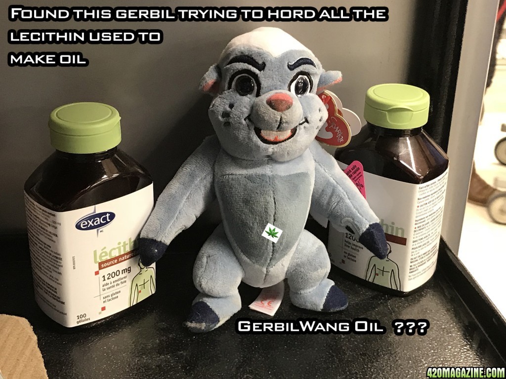 Gerbil_Wang_Oil.jpg