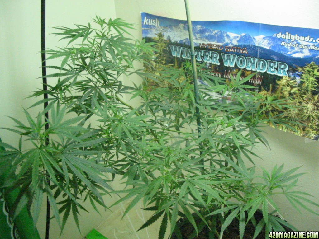 Grow_Op_095.jpg