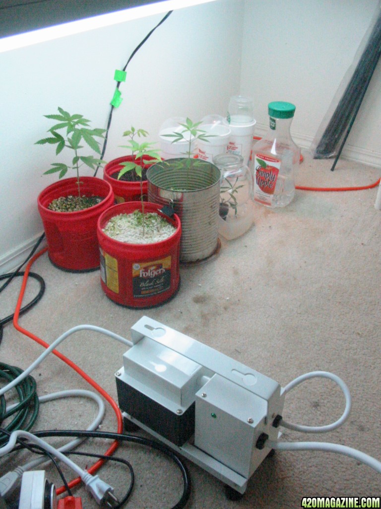 Grow_Op_192.jpg