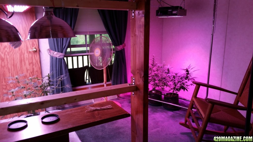 Grow_room_515.jpg