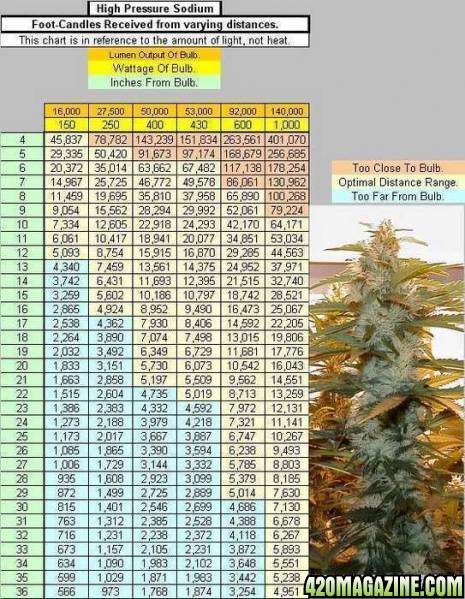 HPS-Light-Distance-Chart2.jpg