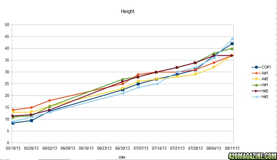 Height12.jpg